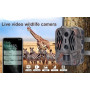 4G 4K 36MP avec contrôle APP - Vision nocturne 120° IP66-Caméras de Chasse 4G