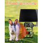 Intelligente Solaire 4G-Caméras de Chasse 4G