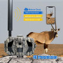 4G 36MP : Vision Nocturne 30m, Vidéo HD 1080p, App Mobile-Caméras de Chasse 4G