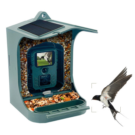 Caméra Mangeoire à Oiseaux WiFi 1080P Solaire-Caméras de Chasse 4G