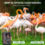 4G LTE Haute Performance-Caméras de Chasse Haute Résolution