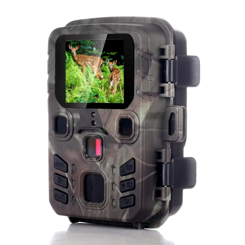 Image détaillée de la caméra de chasse