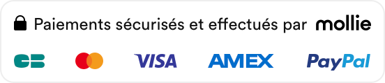 Moyens de paiement sécurisés